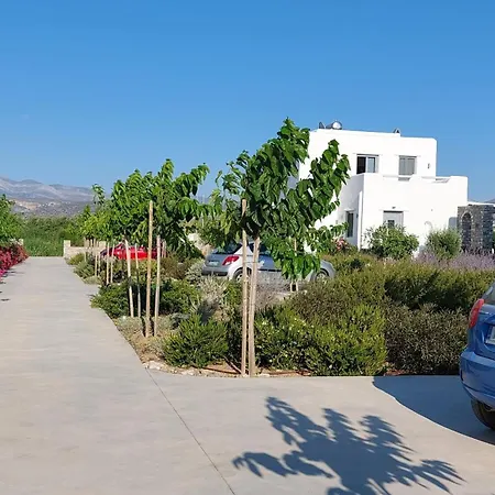 Isalos Naxos Villa *